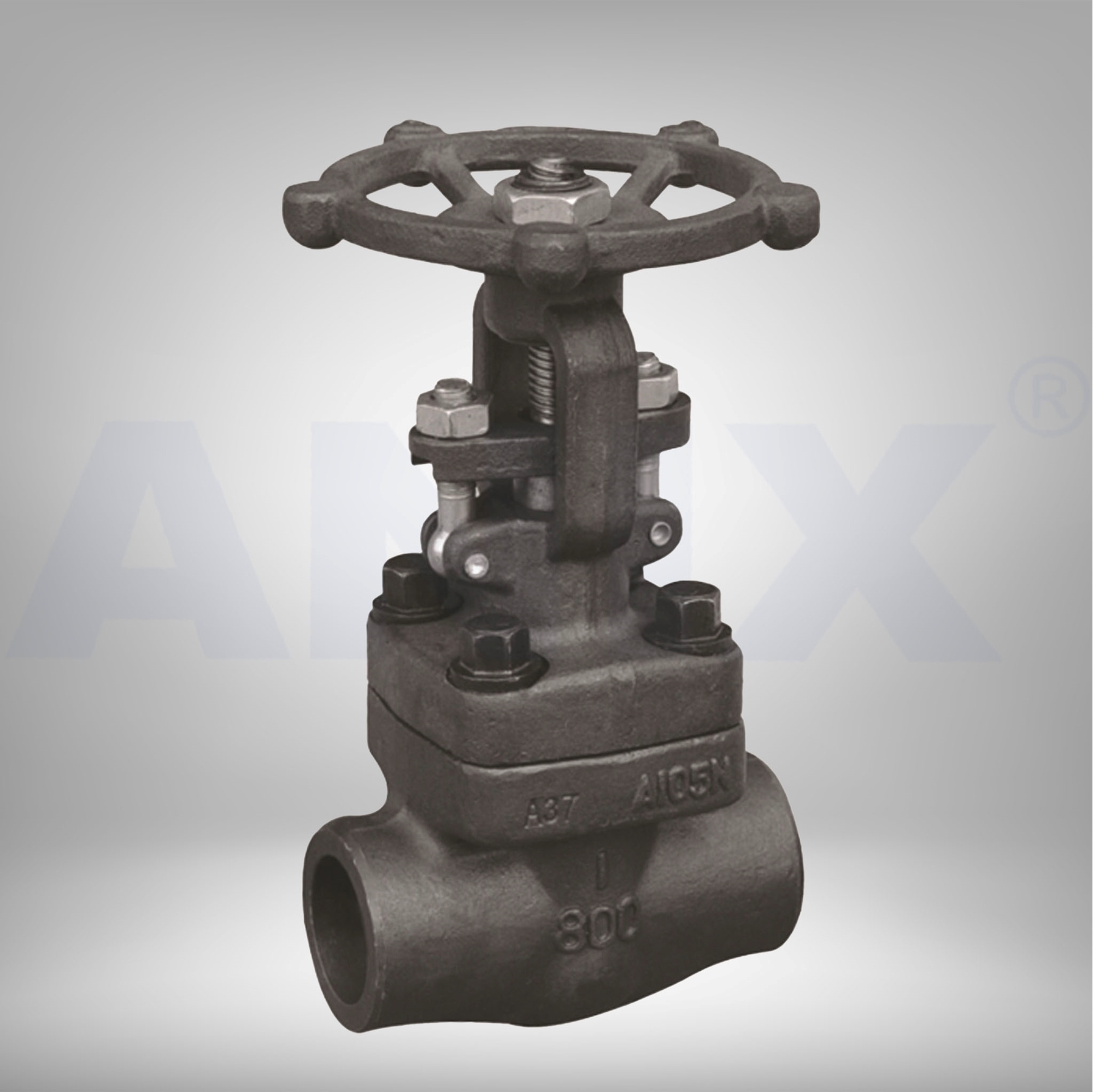 Picture of ANIX Forged Steel Globe Valve Threaded Class 800