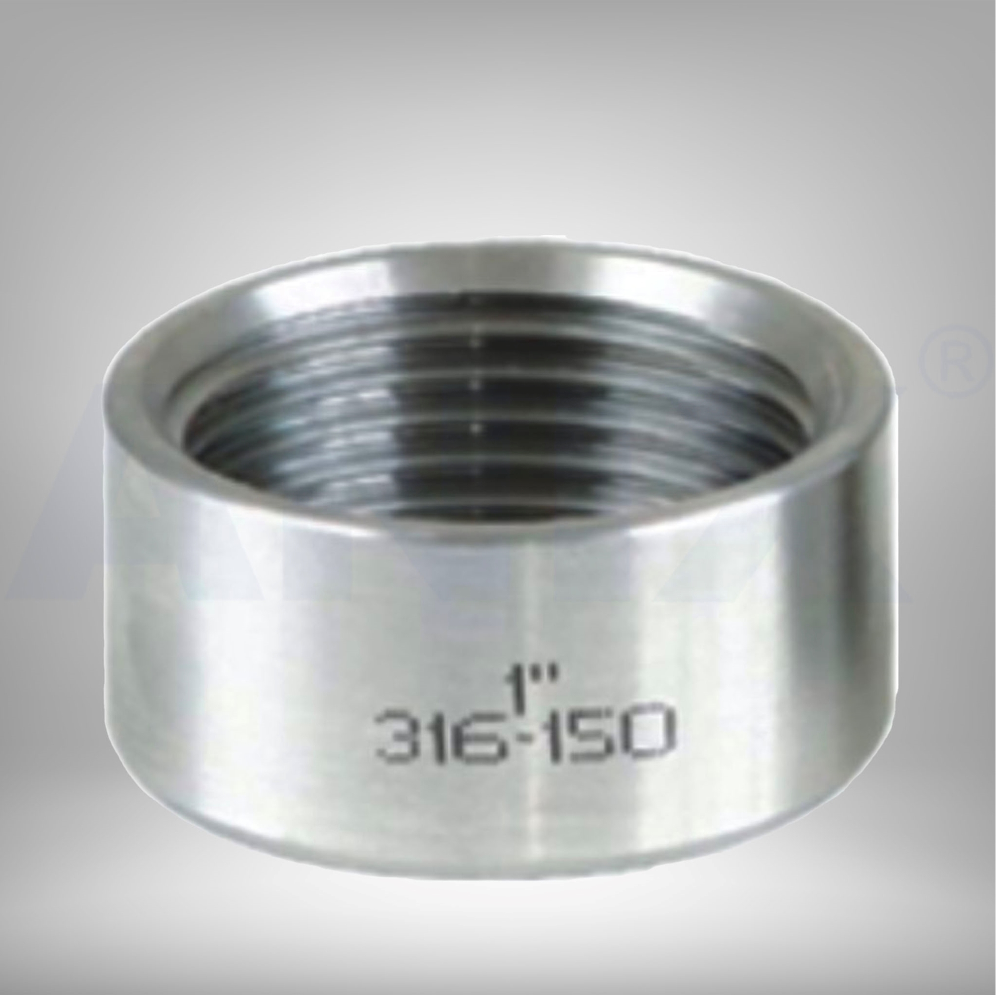 Picture of ANIX Stainless Steel CL150 NPT Tank Socket
