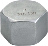 Picture of ANIX Stainless Steel CL150 NPT Hex Cap