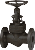 Picture of ANIX Forged Steel Globe Valve Flanged  Class 600 / 300 / 150 