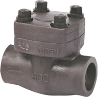 Picture of ANIX Forged Steel Check Valve Threaded Class 800