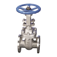 Picture of ANIX Stainless Steel  Gate Valve Class 150 / 300 RF
