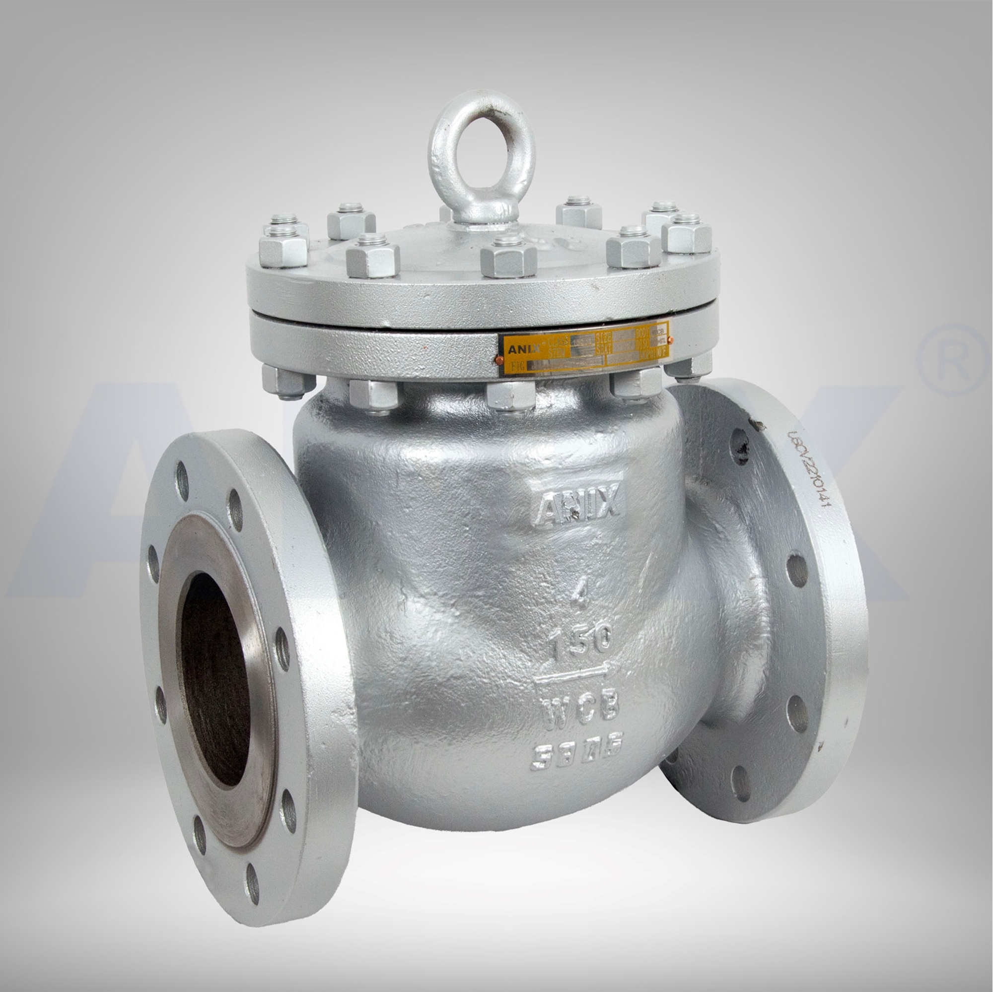 Picture of ANIX Carbon Steel Swing Check Valve - RF, Trim 8, Class 150 /  300 / 600